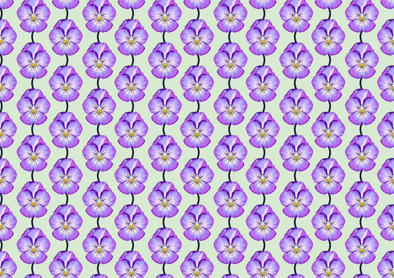 Iconic - Lavender Pansy