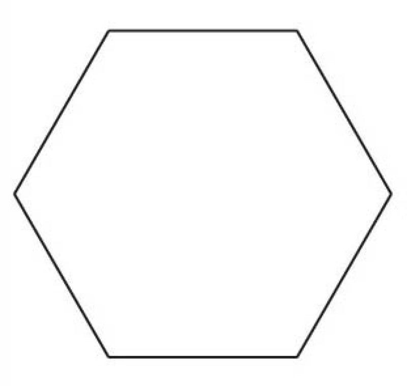 Sue Daley English Paper Pieces 1" Hexagon 100 Pack