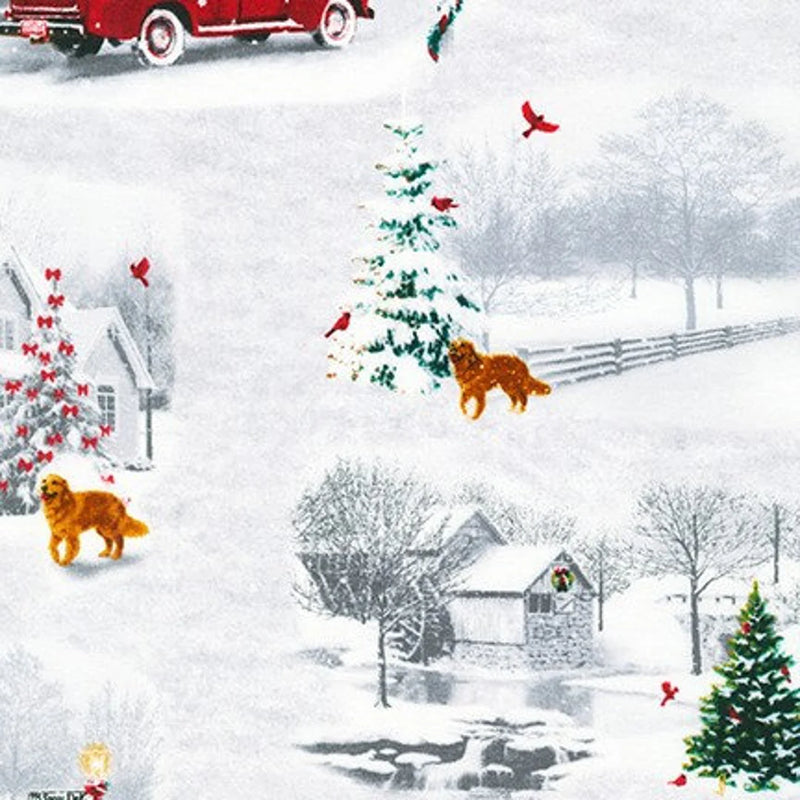 White Christmas - Barn Dog Run