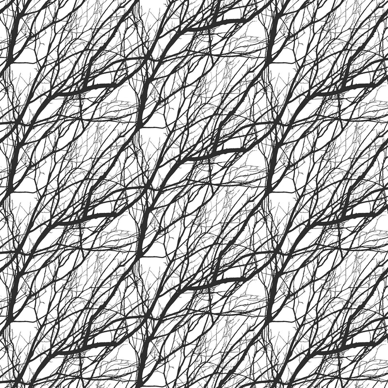 Silhouette - Black White Branches