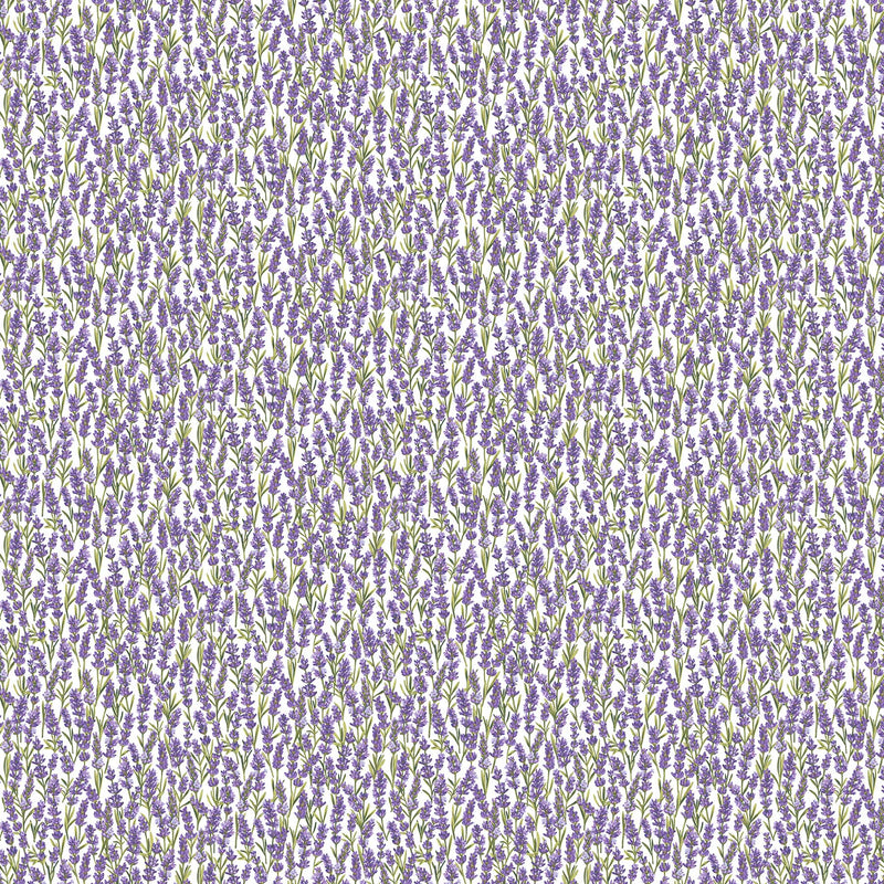 Lavender Market - Packed White Lavender