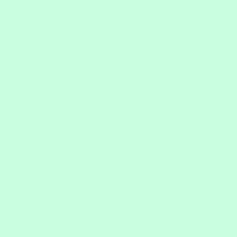 Colorworks Premium Solid - Frosted Mint