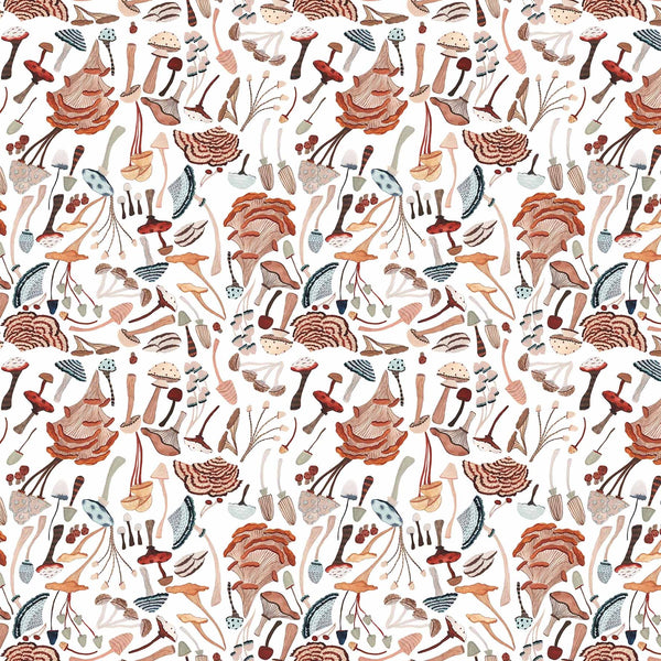 After the Rain - White Mushrooms