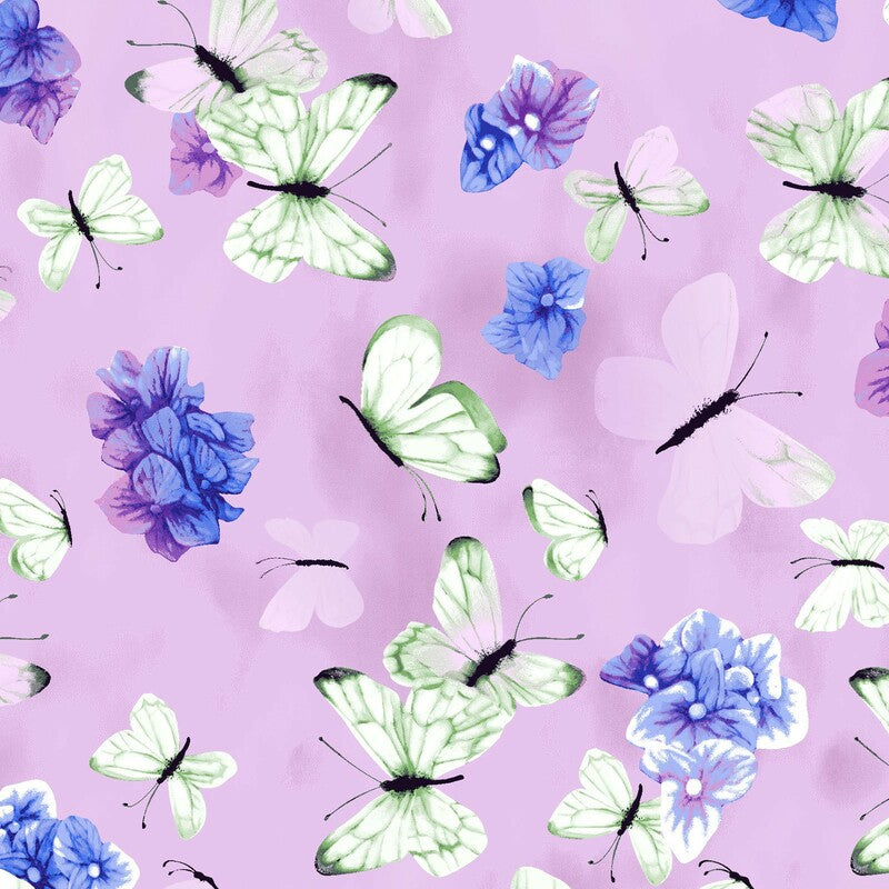 Hydrangea Harmony - Butterfly Blooms Violet