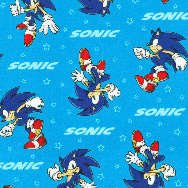 Sonic the Hedgehog - Blue Sonic the Hedgehog